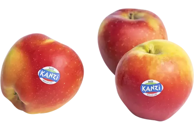 Kanzi appels verpakt 6st kist 8 stuks